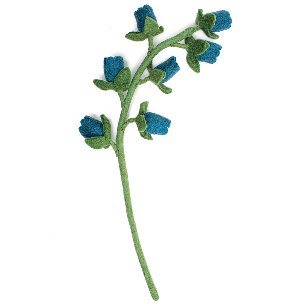 Blue felt Bellflower with small flowers going up stem.