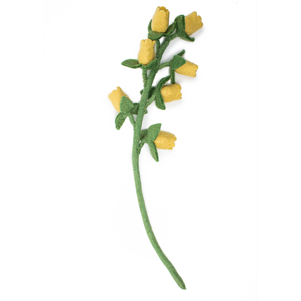 Yellow felt Bellflower with small flowers going up stem.