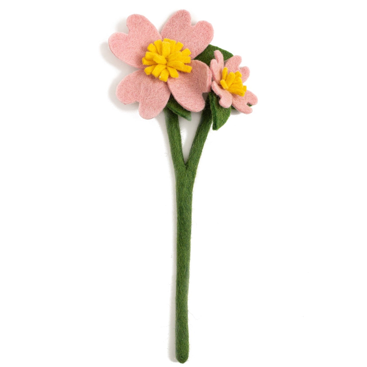 Light pink Dogwood flower with one big flower and one smaller flower on stem.