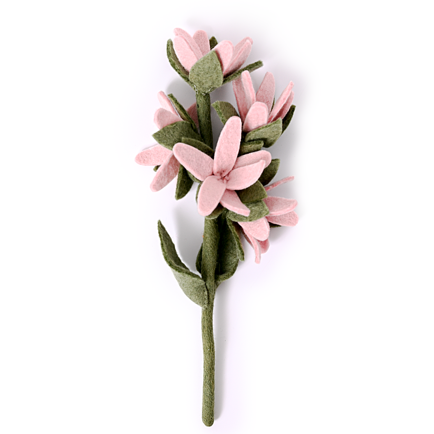 Light pink felt watsonia flower.