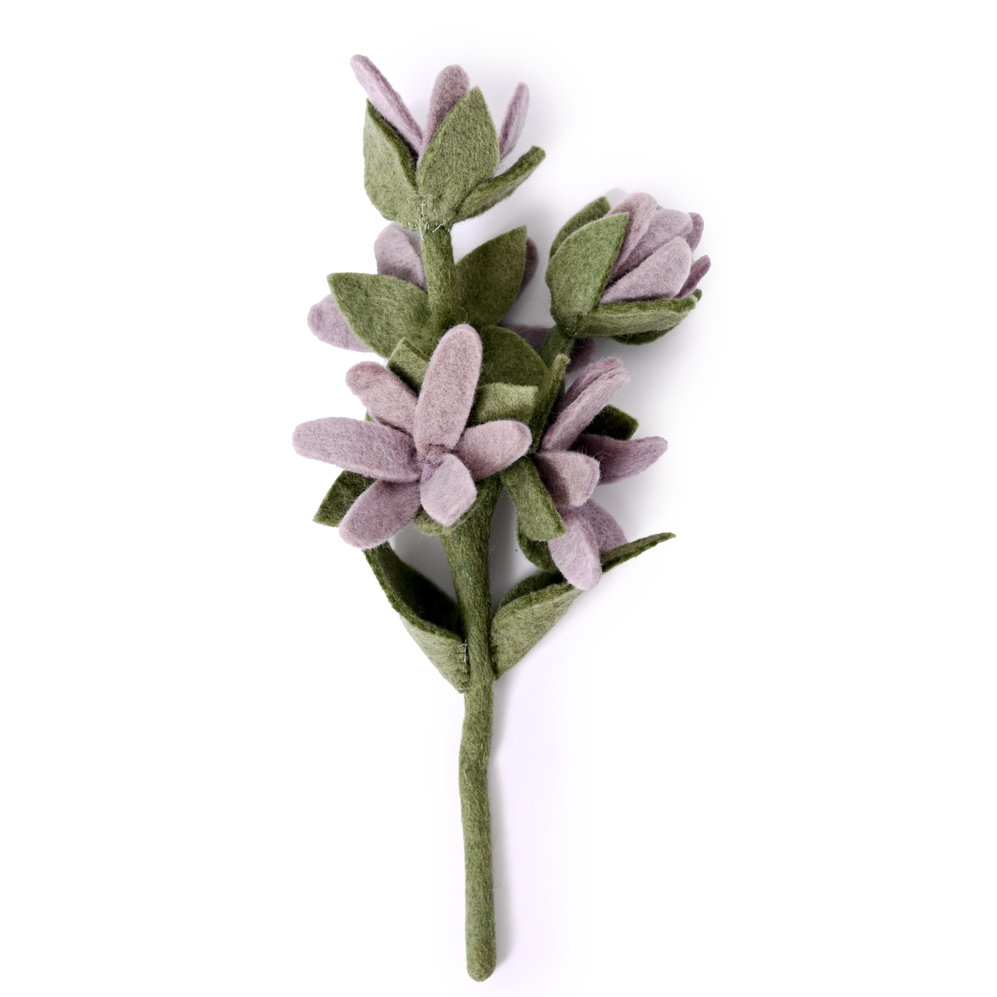 Light purple felt watsonia flower.