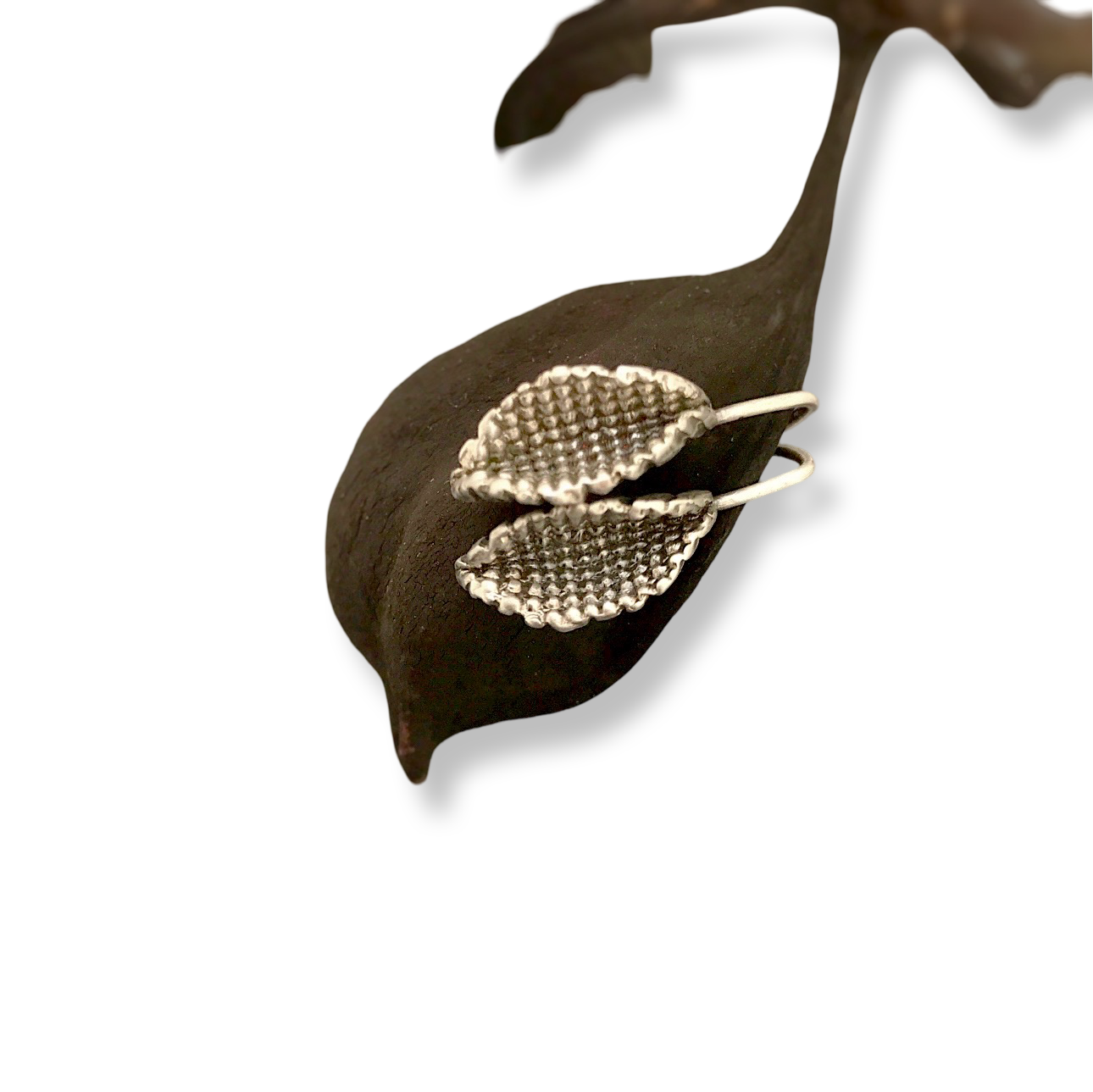 Silver beeja Pod earrings on seed pod.