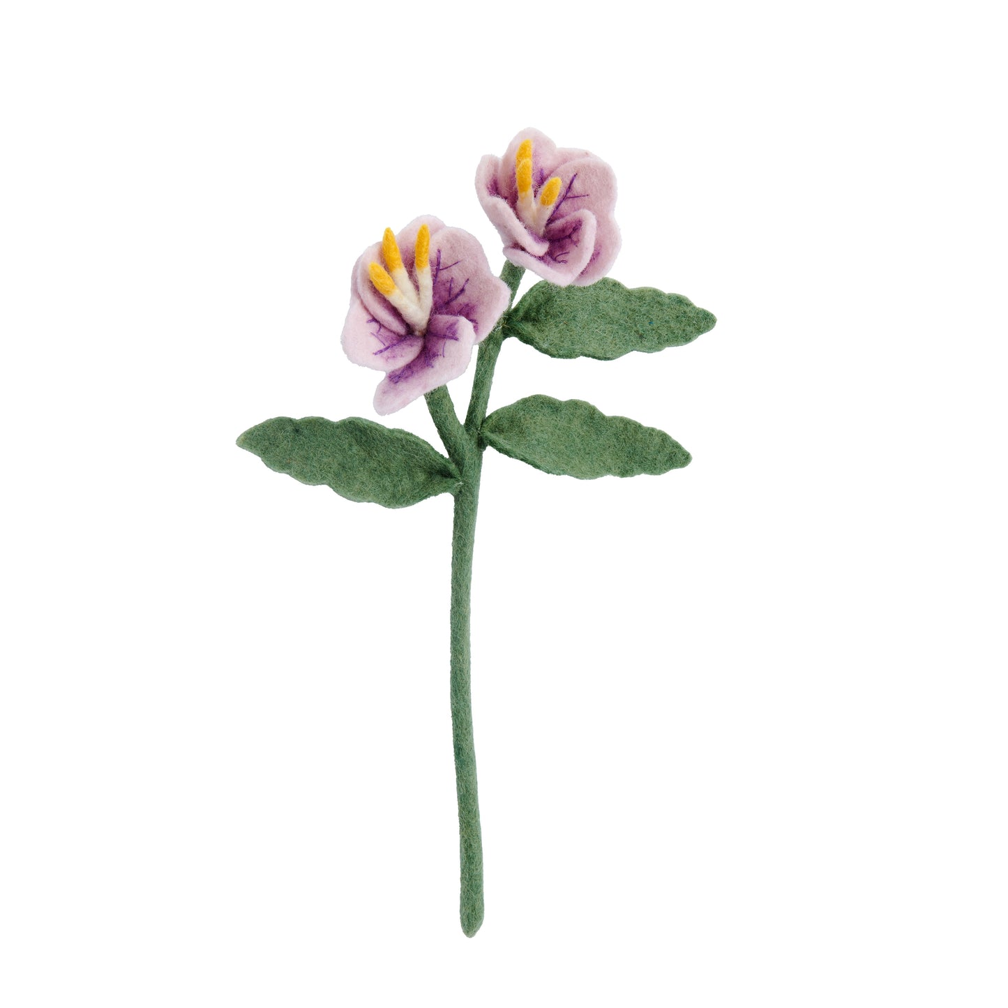 Purple felt primrose flower.