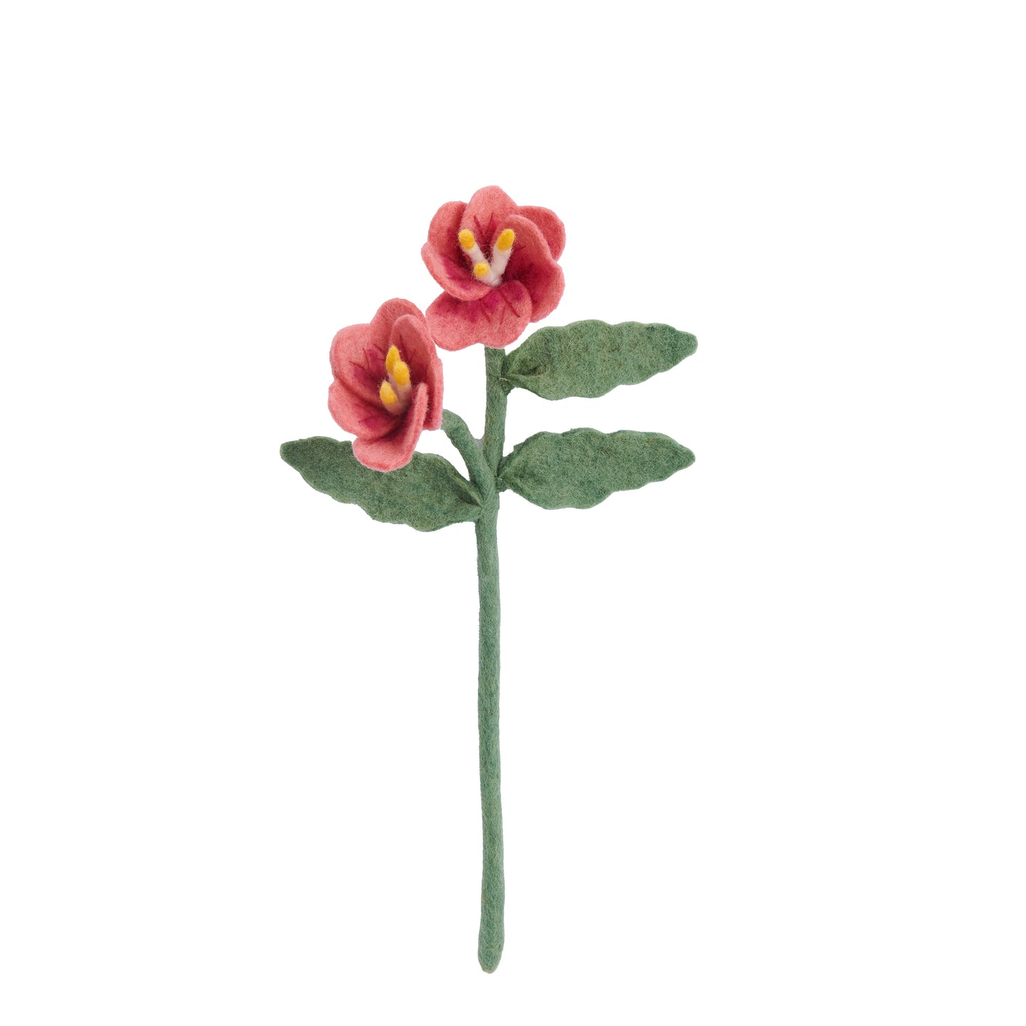 Pink felt primrose flower.