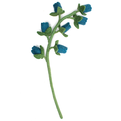 Blue felt Bellflower with small flowers going up stem.