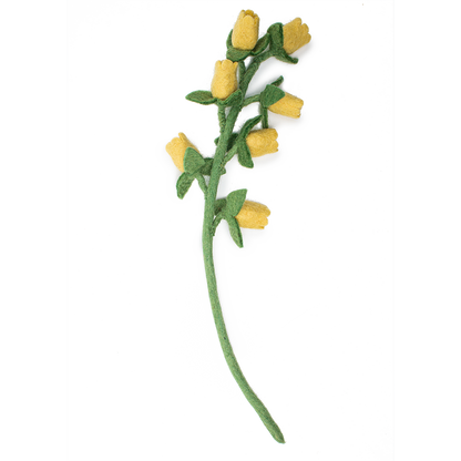 Yellow felt Bellflower with small flowers going up stem.