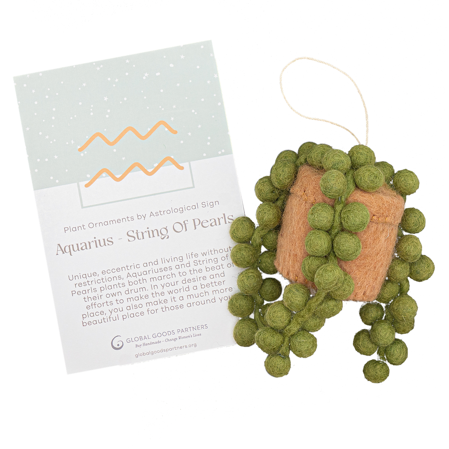 Felt ornament of a String of Pearls plant in a tan pot with an Aquarius astrology card.
