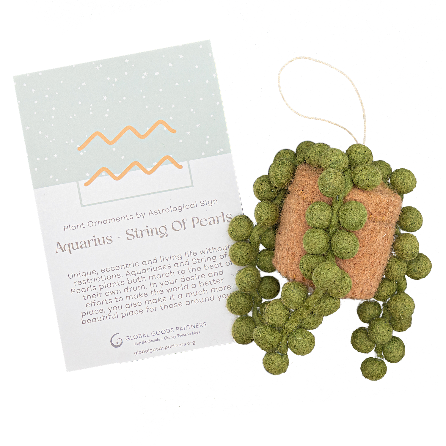 Felt ornament of a String of Pearls plant in a tan pot with an Aquarius astrology card.