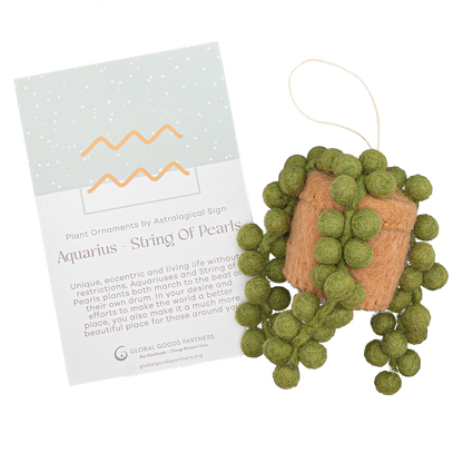 Felt ornament of a String of Pearls plant in a tan pot with an Aquarius astrology card.
