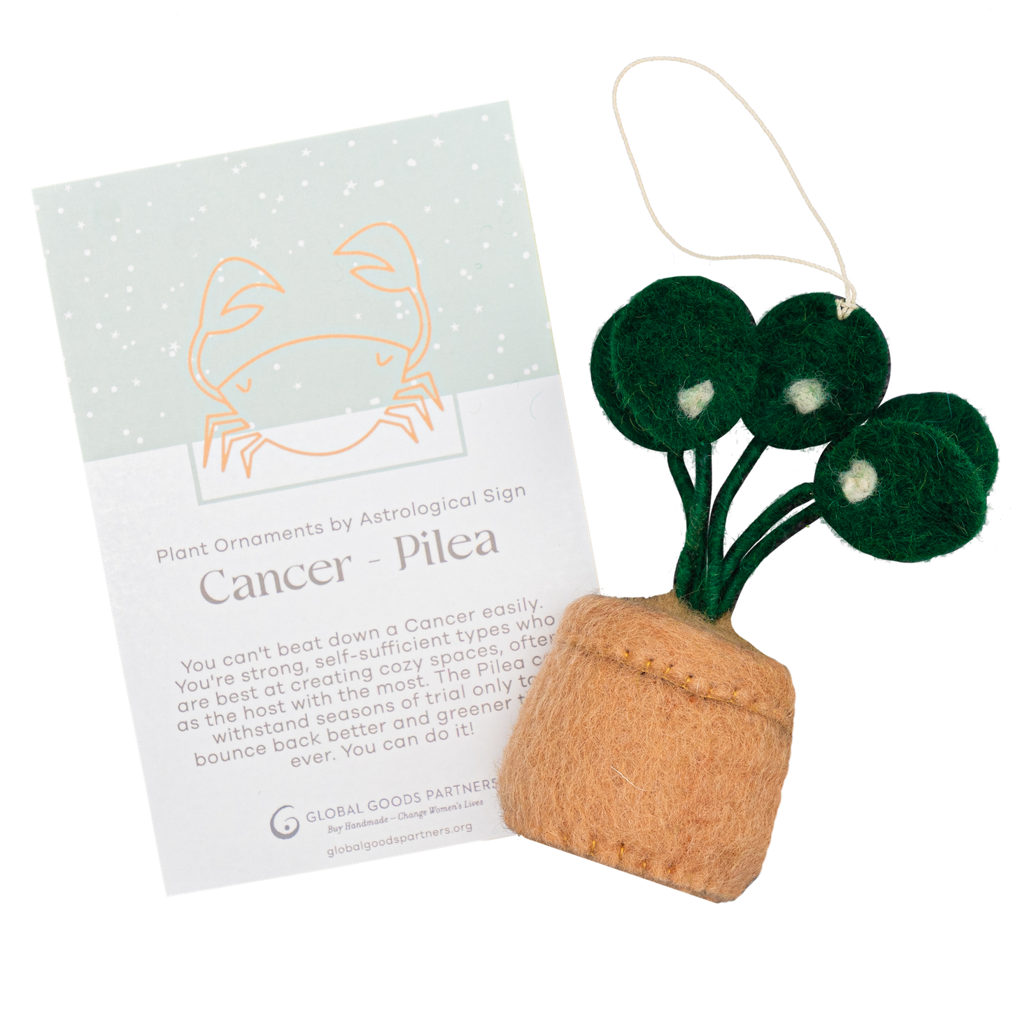 Felt ornament of a Pilea plant in a brown pot with a Cancer astrology card.