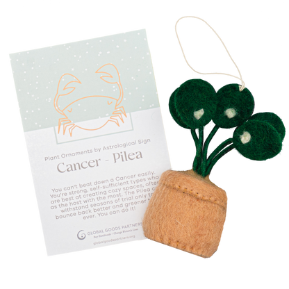 Felt ornament of a Pilea plant in a brown pot with a Cancer astrology card.