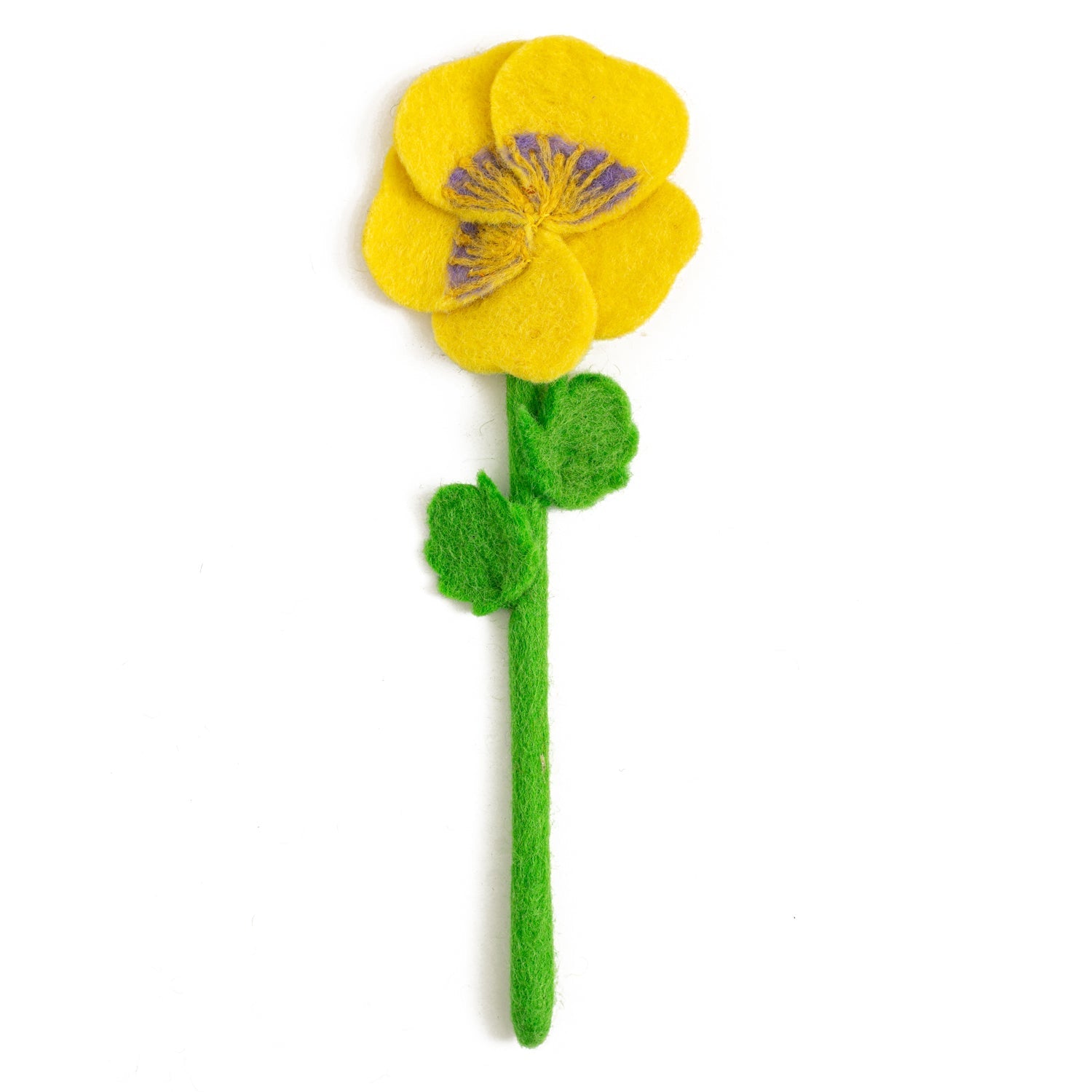 Yellow pansy flower.