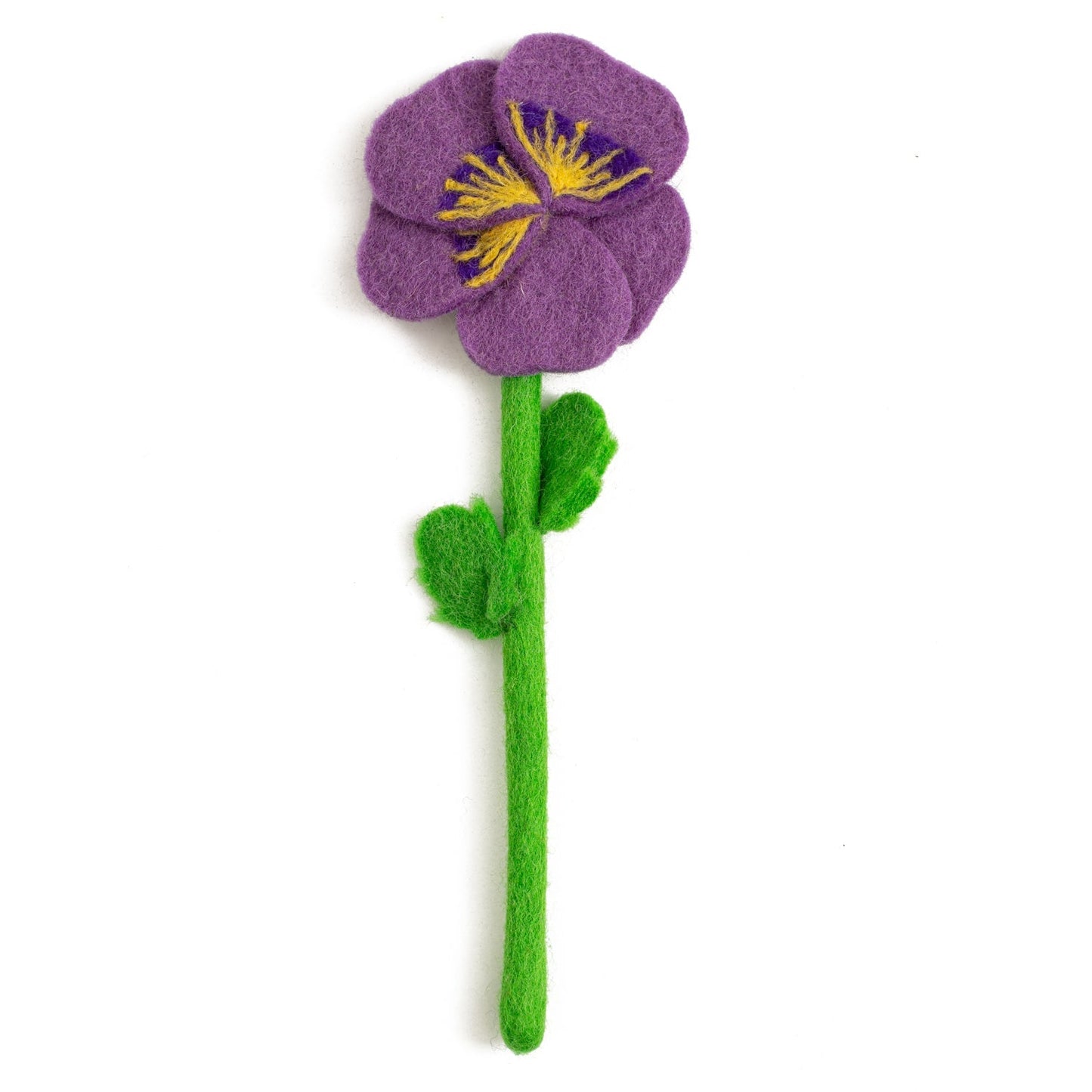Purple pansy flower.