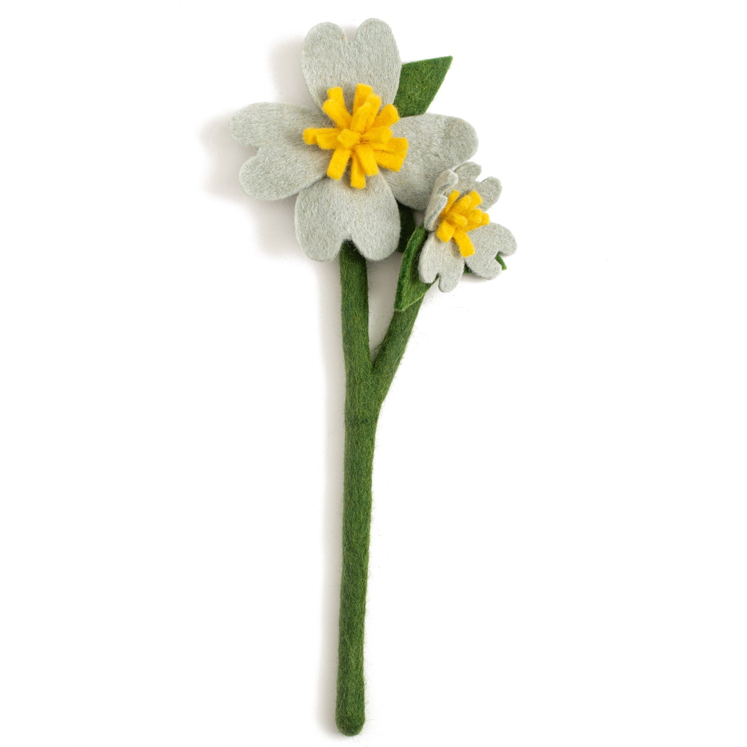 Light grey Dogwood flower with one big flower and one smaller flower on stem.