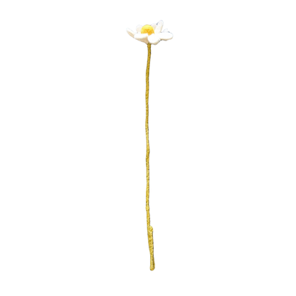 White daisy fair trade flower with a yellow center on a white background | Global Goods Partners
