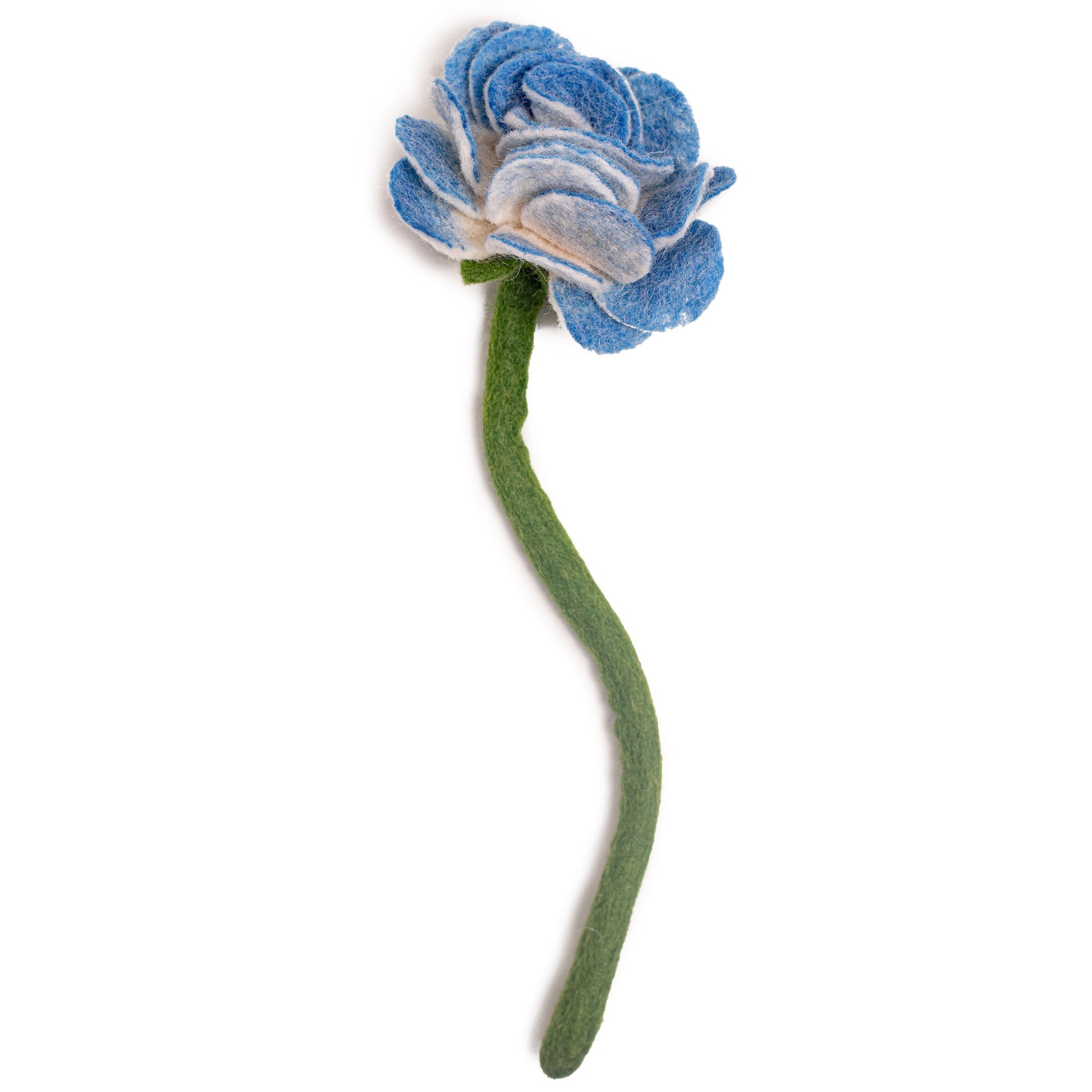 Side view of blue felt Ranunculus flower.