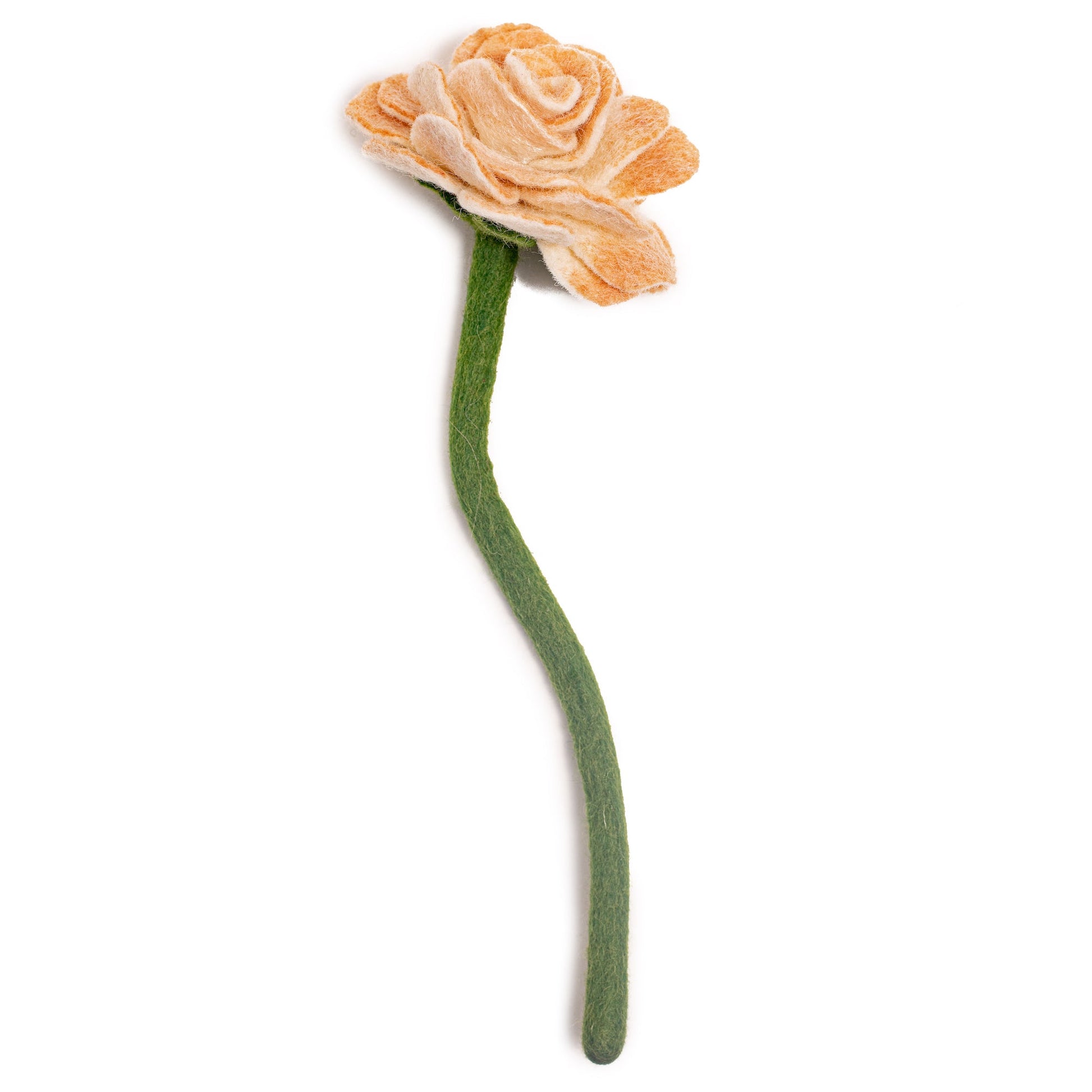 Side view of cream color felt Ranunculus flower.