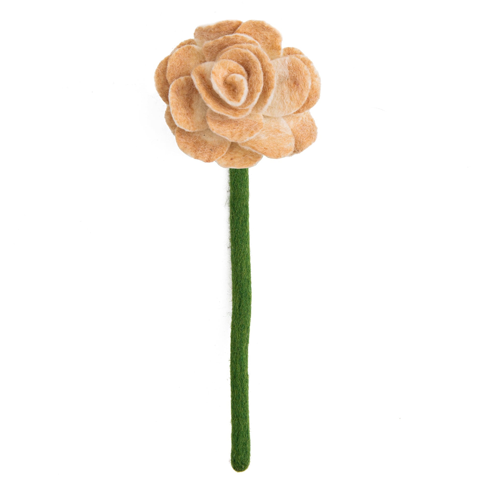 Top view of cream color felt Ranunculus flower.