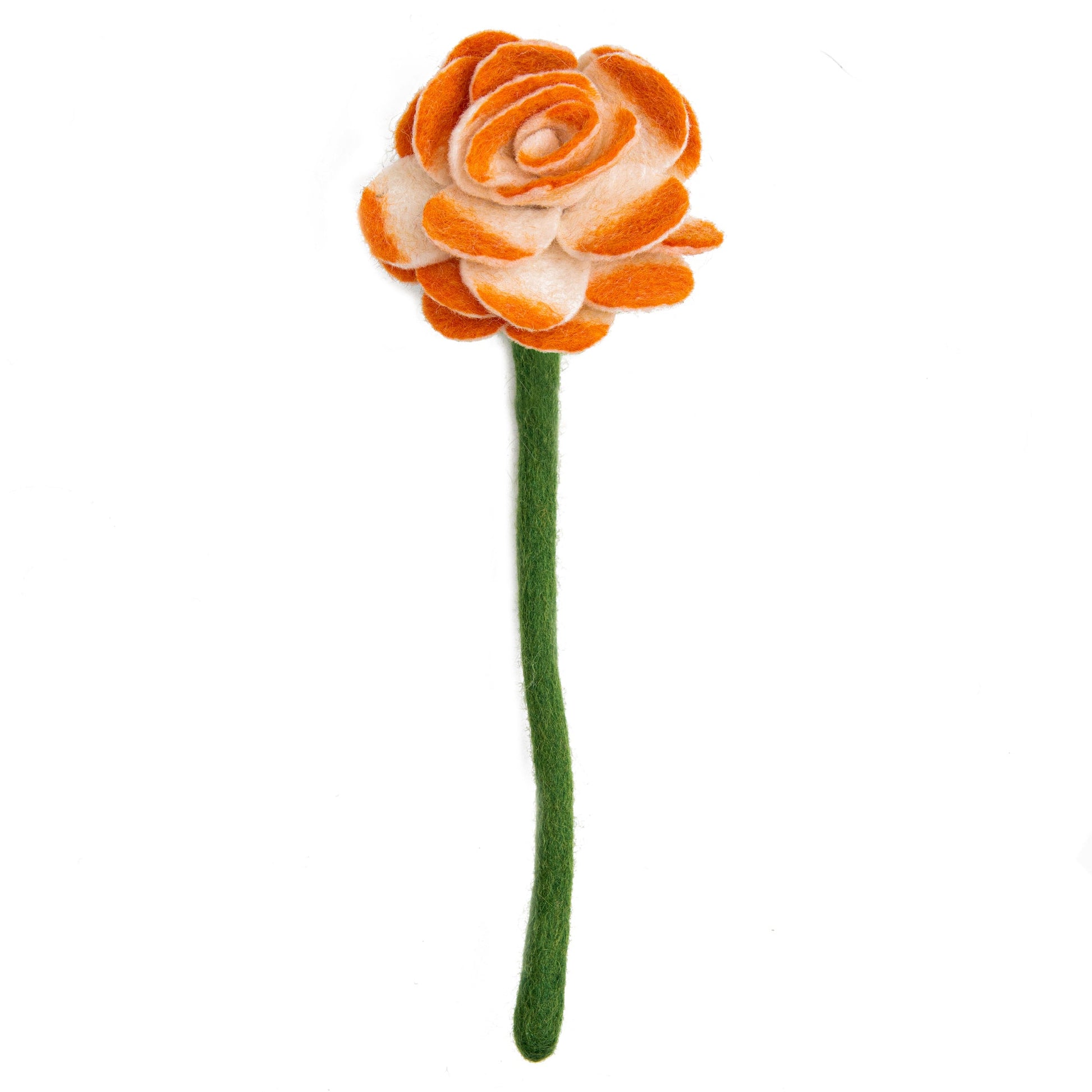 Orange felt Ranunculus flower.