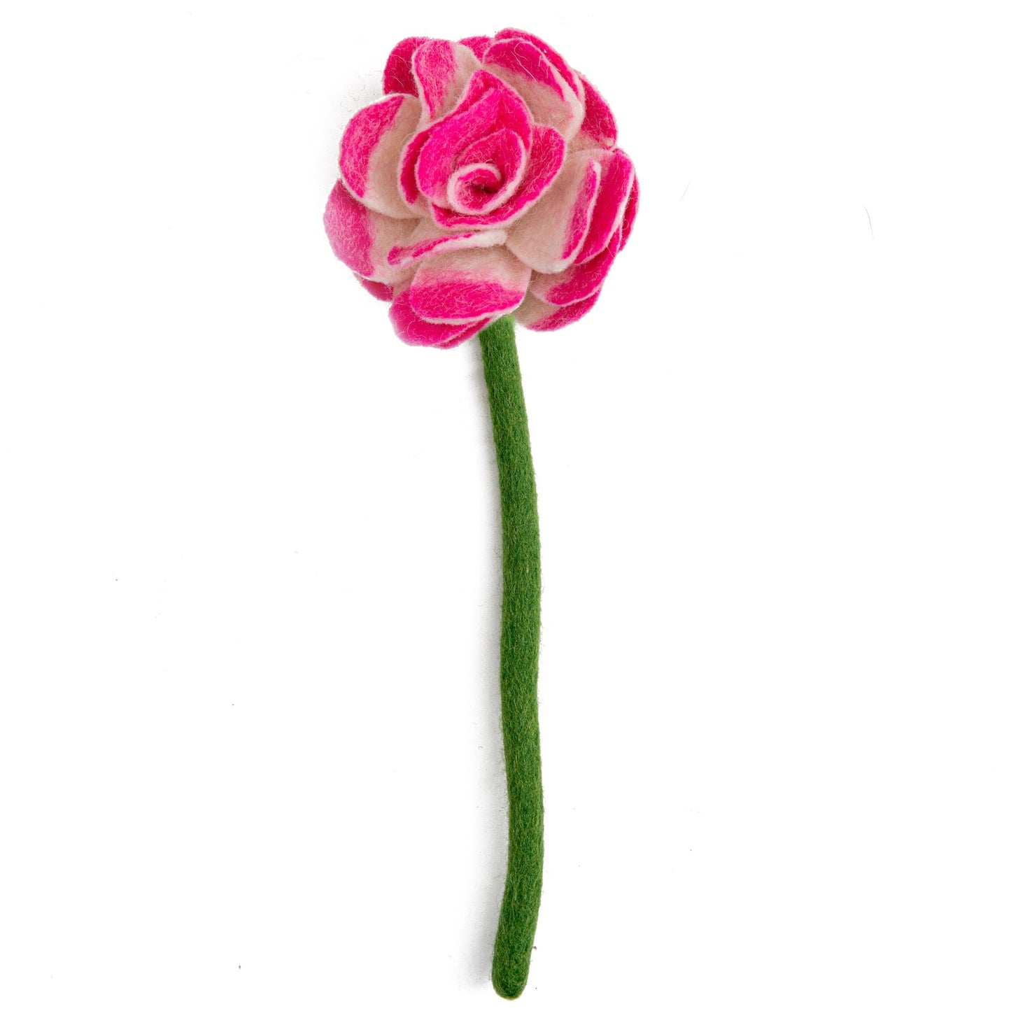 Bright pink felt ranunculus flower.