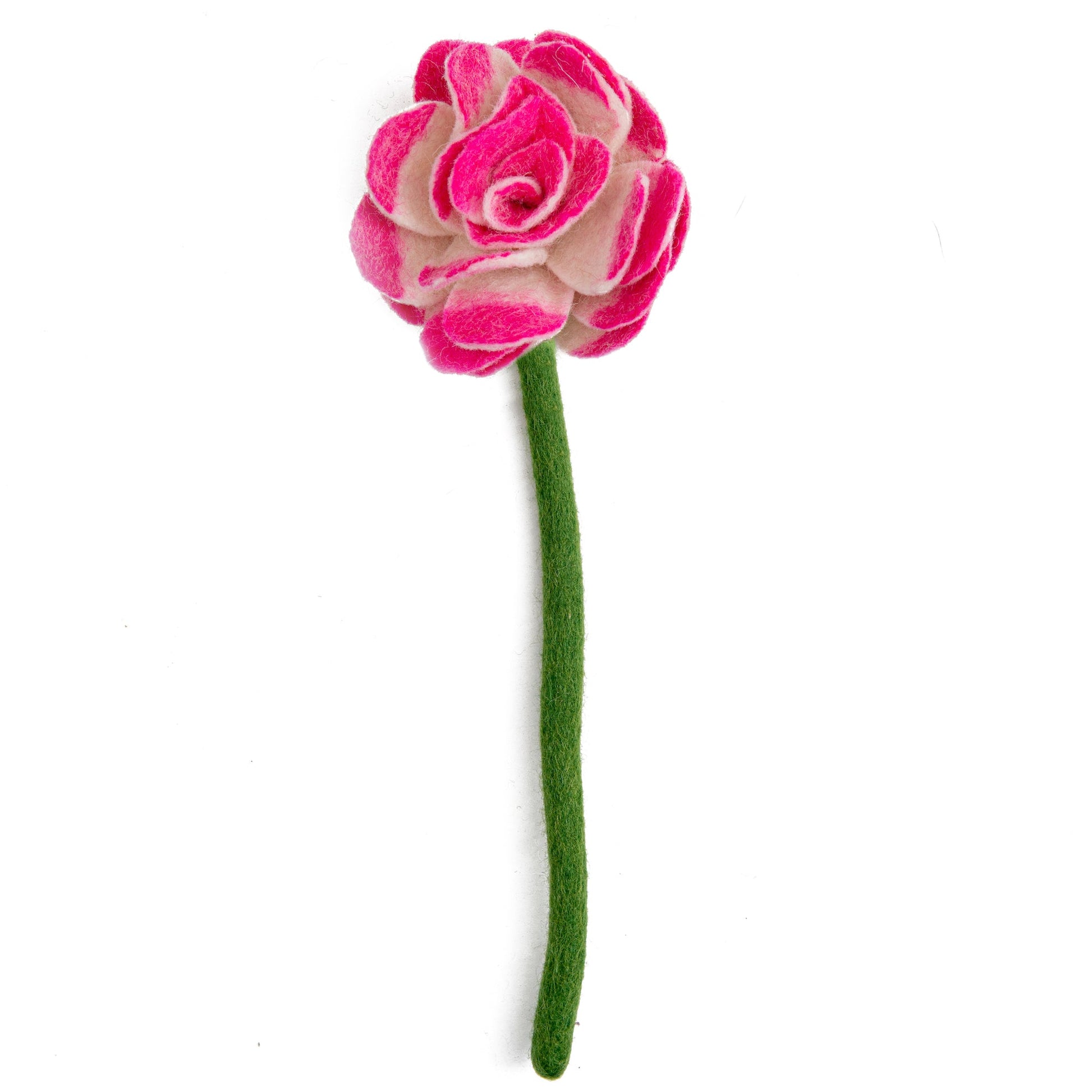 Bright pink felt ranunculus flower.
