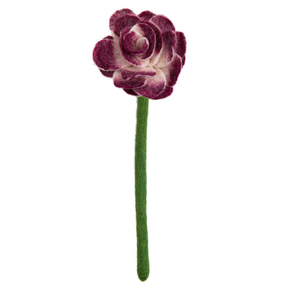 Top view of purple felt Ranunculus flower.
