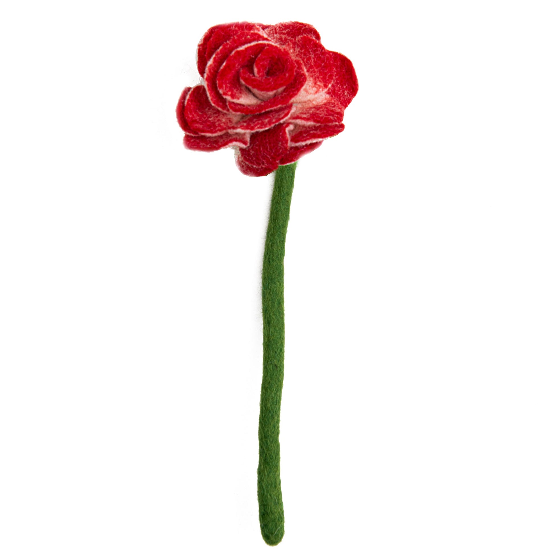 Top view of red felt Ranunculus flower.
