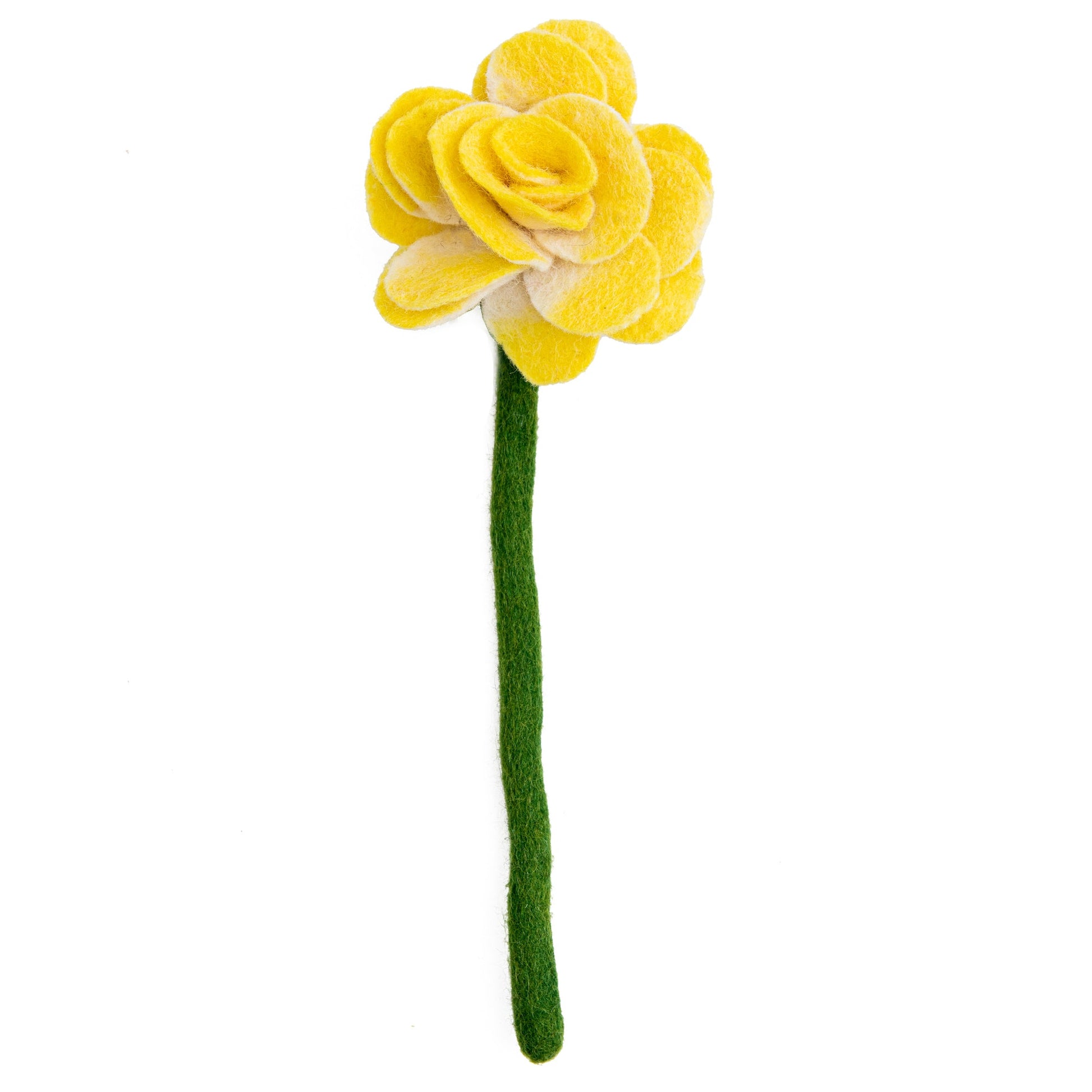 Top view of yellow felt Ranunculus flower.