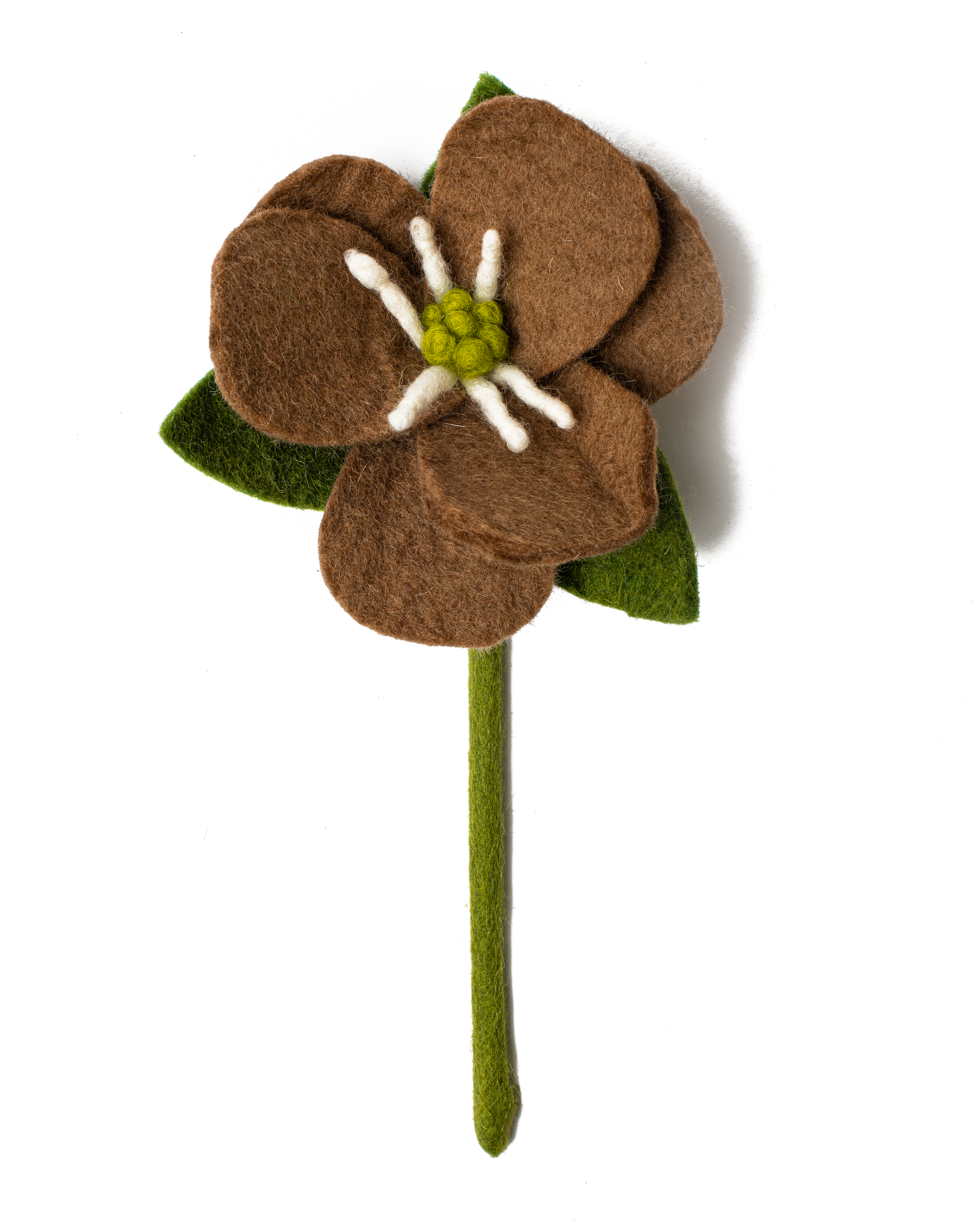 Brown felt Hepatica flower.