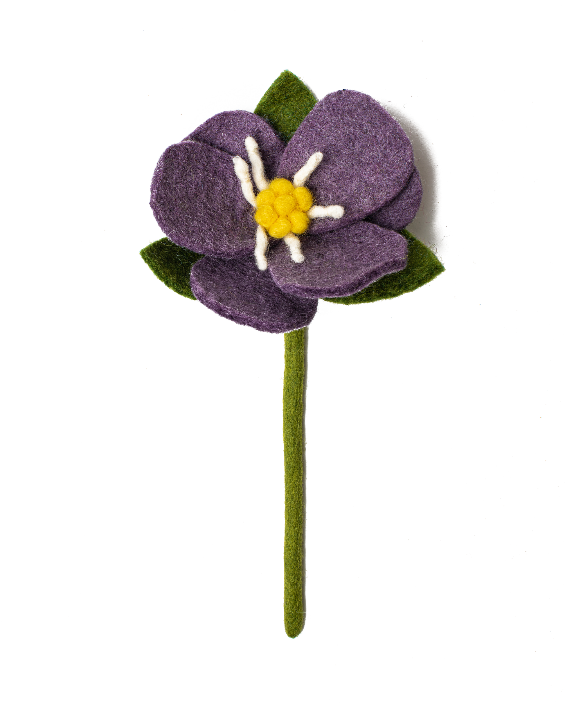 Purple felt Hepatica flower.