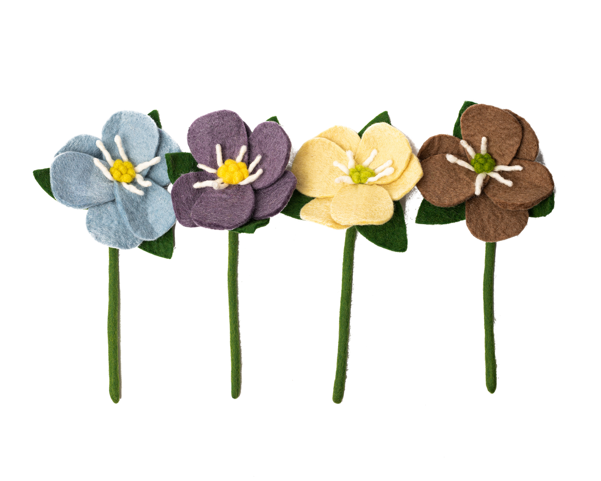 Felt Hepatica flowers in blue, purple, yellow, and brown next to each other in a line.