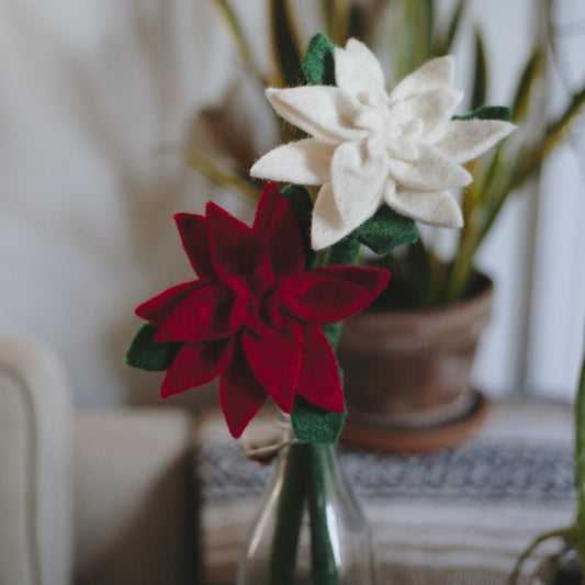 Red and white Poinsettia flowers in a glass vase.