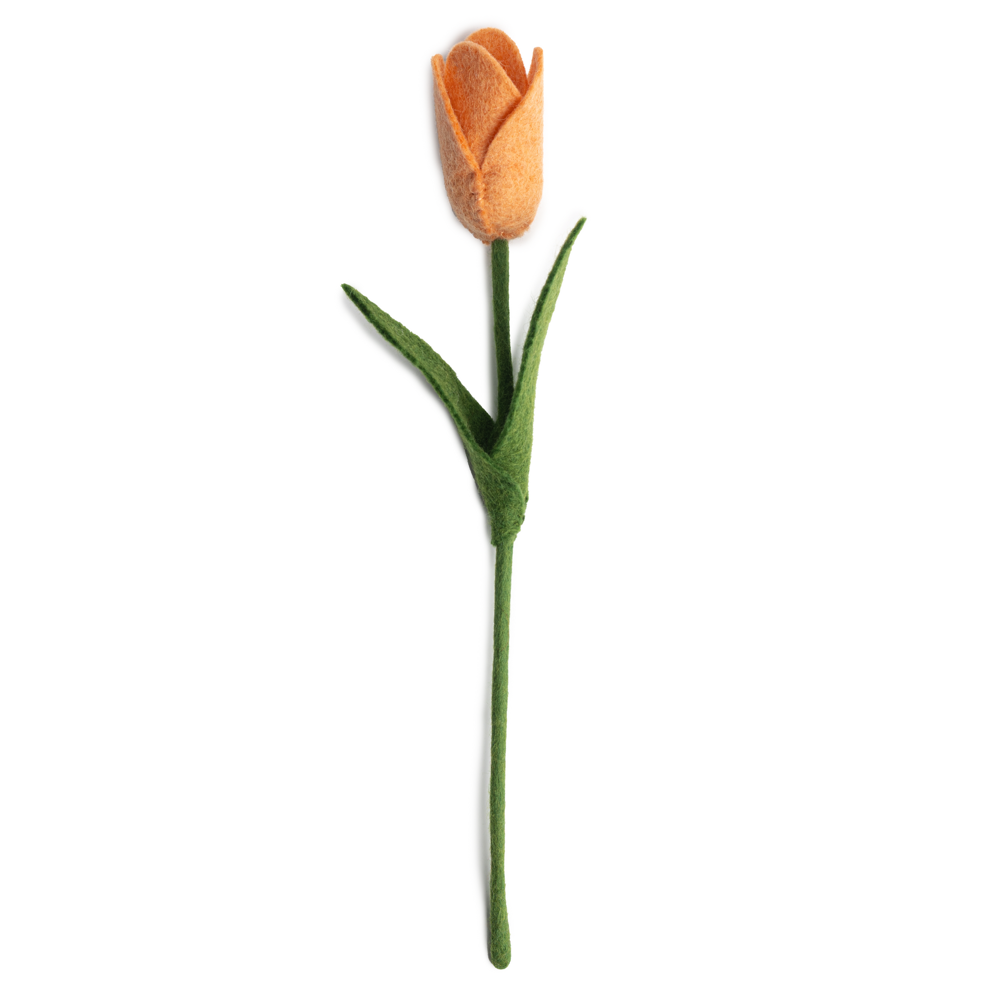 Apricot color felt tulip.