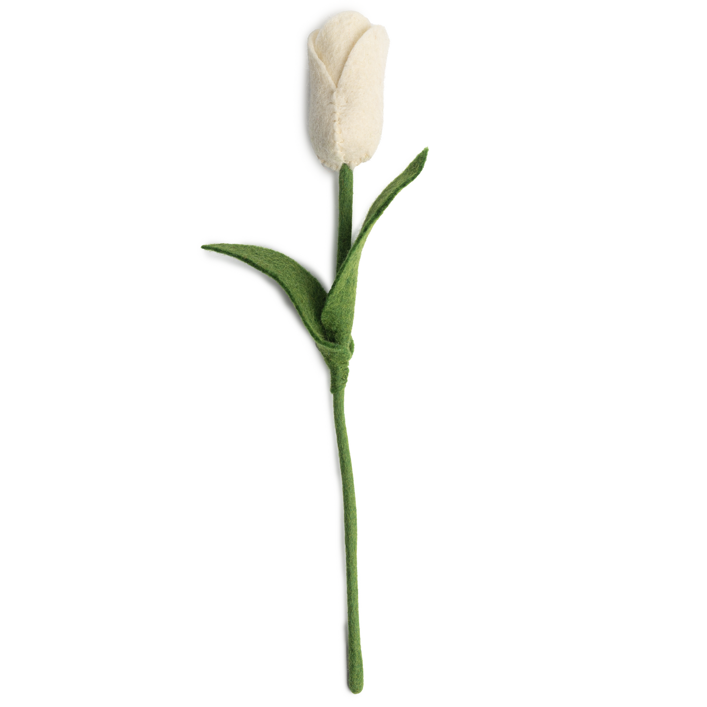 White felt tulip.