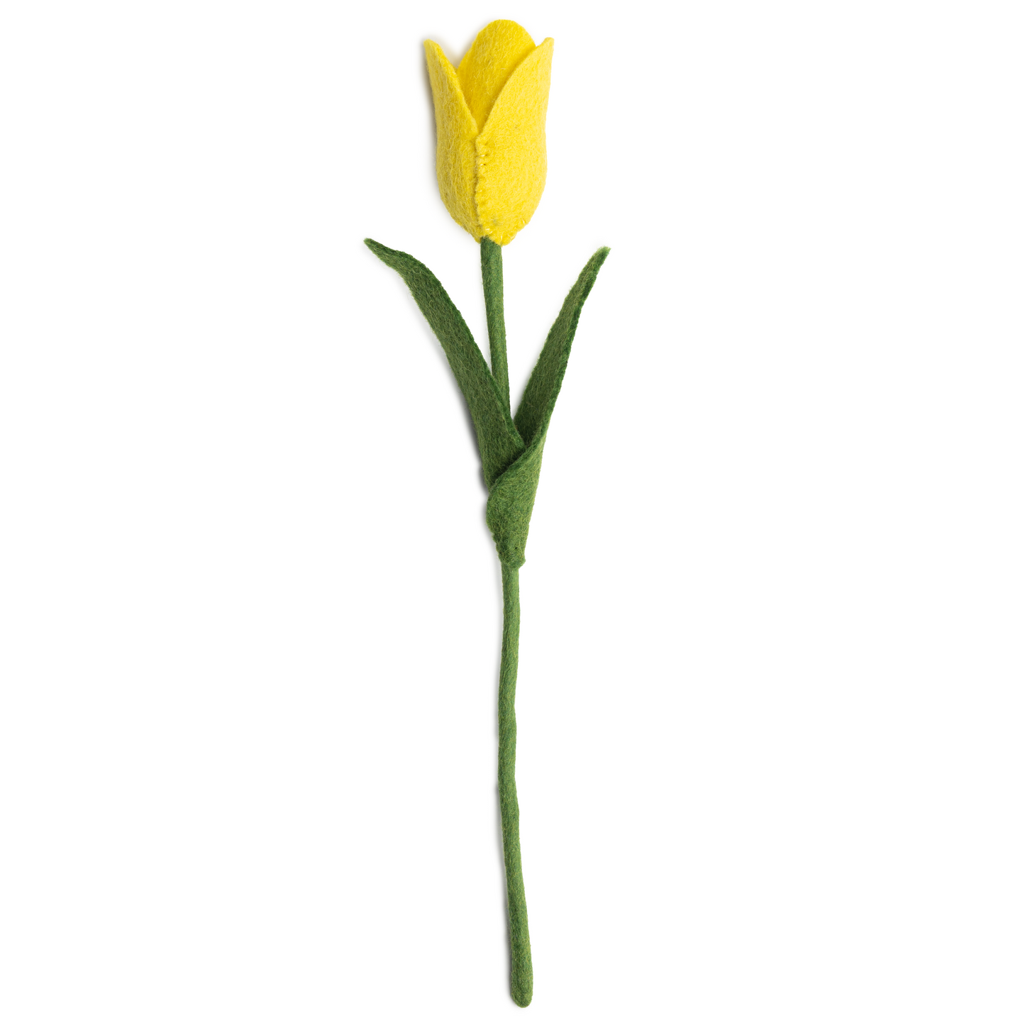 Yellow felt tulip.