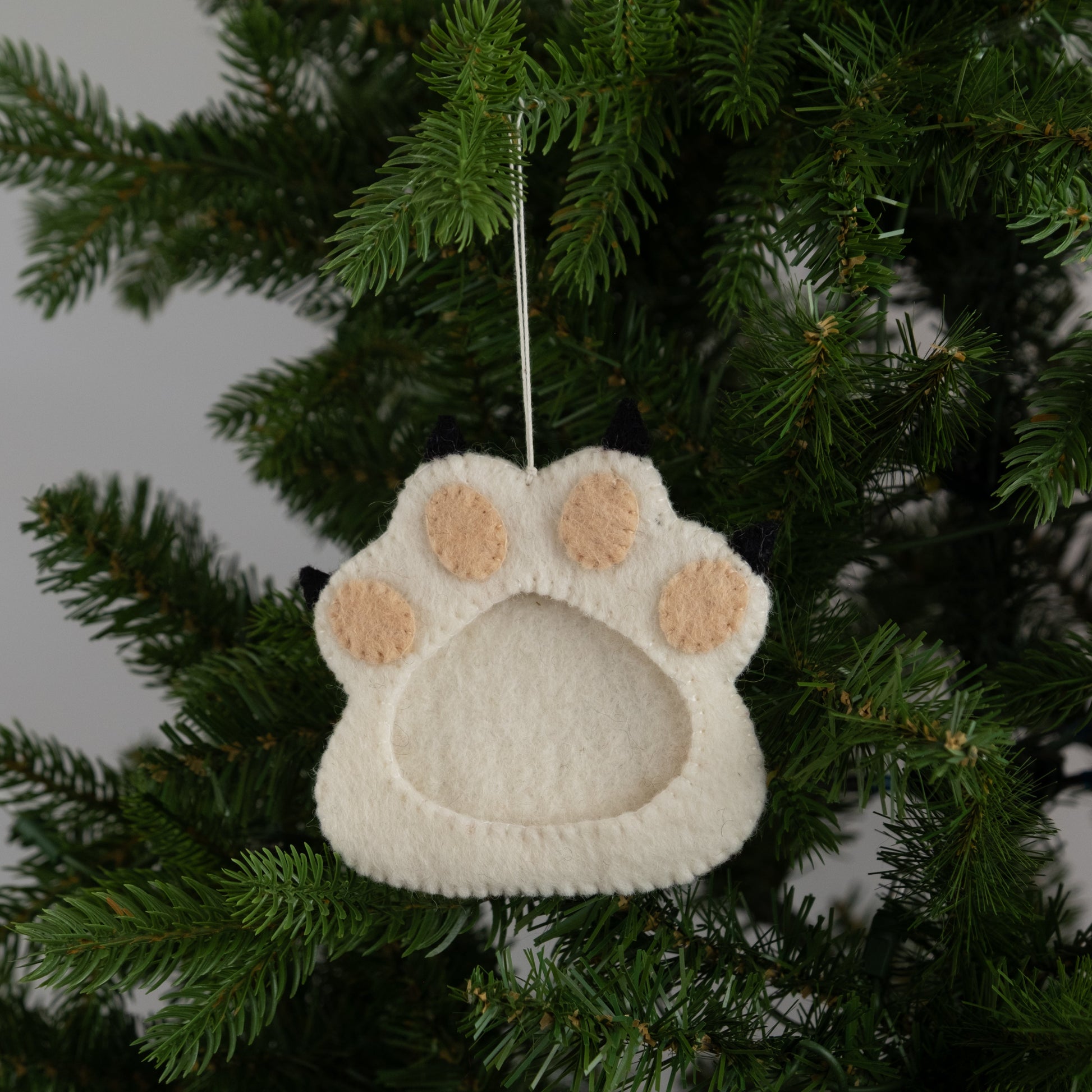 Felt ornament of a white paw print with a picture frame in the middle hanging on a Christmas tree.