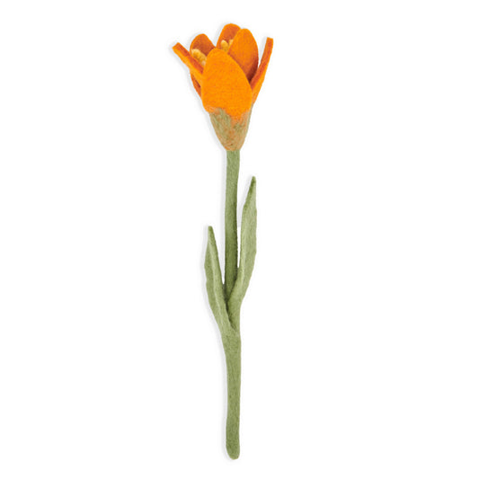 Orange felt crocus flower.