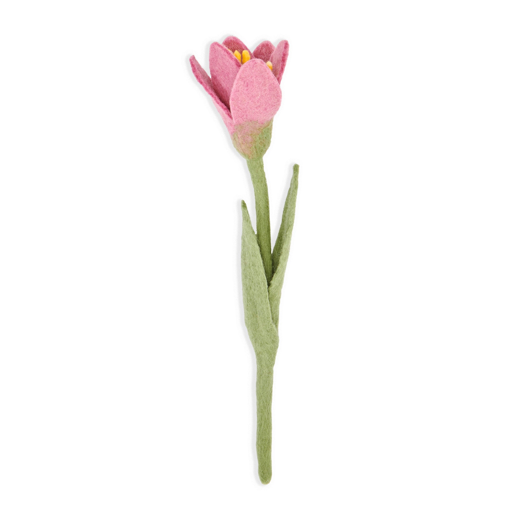 Pink felt crocus flower.