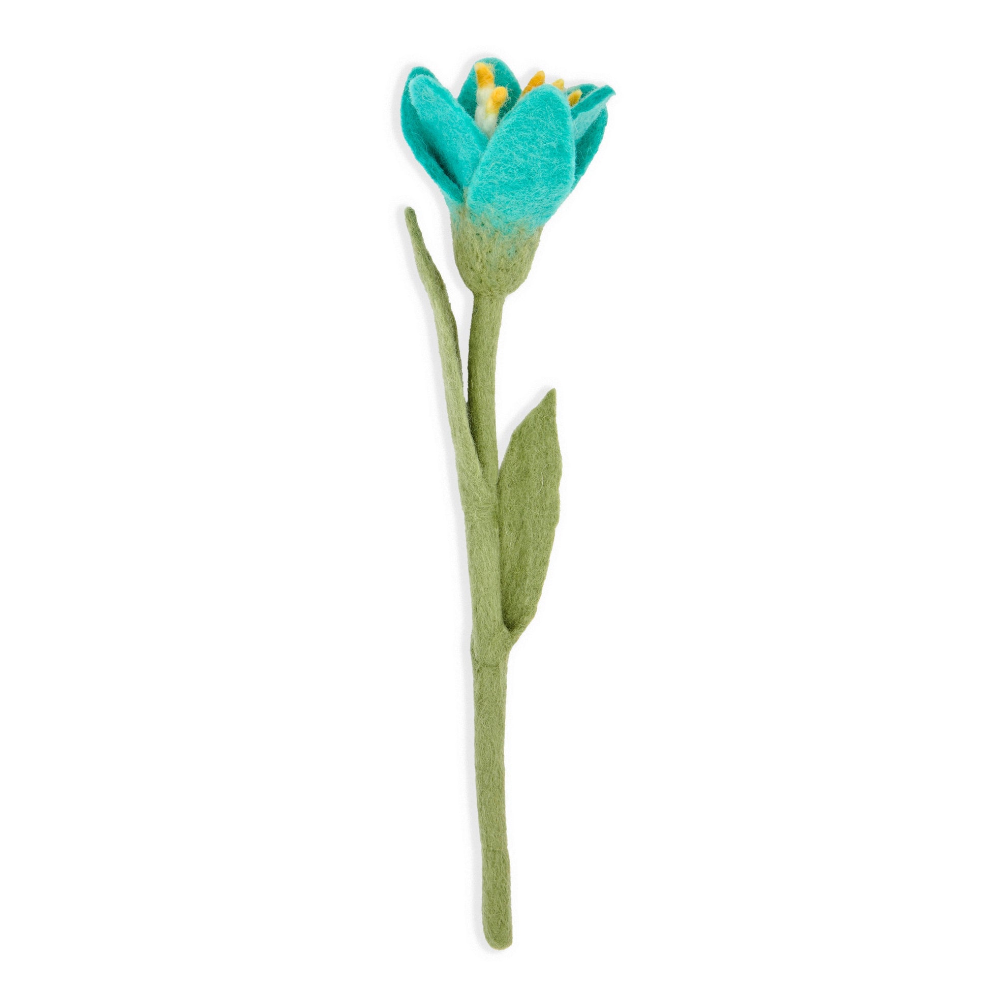 Blue felt crocus flower.