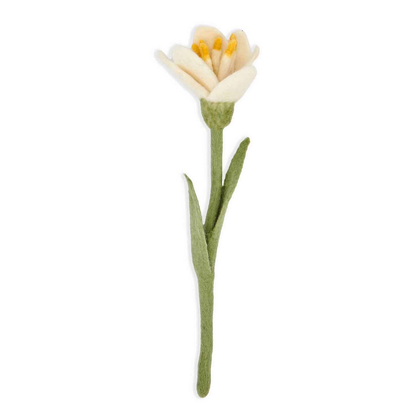 White felt crocus flower.