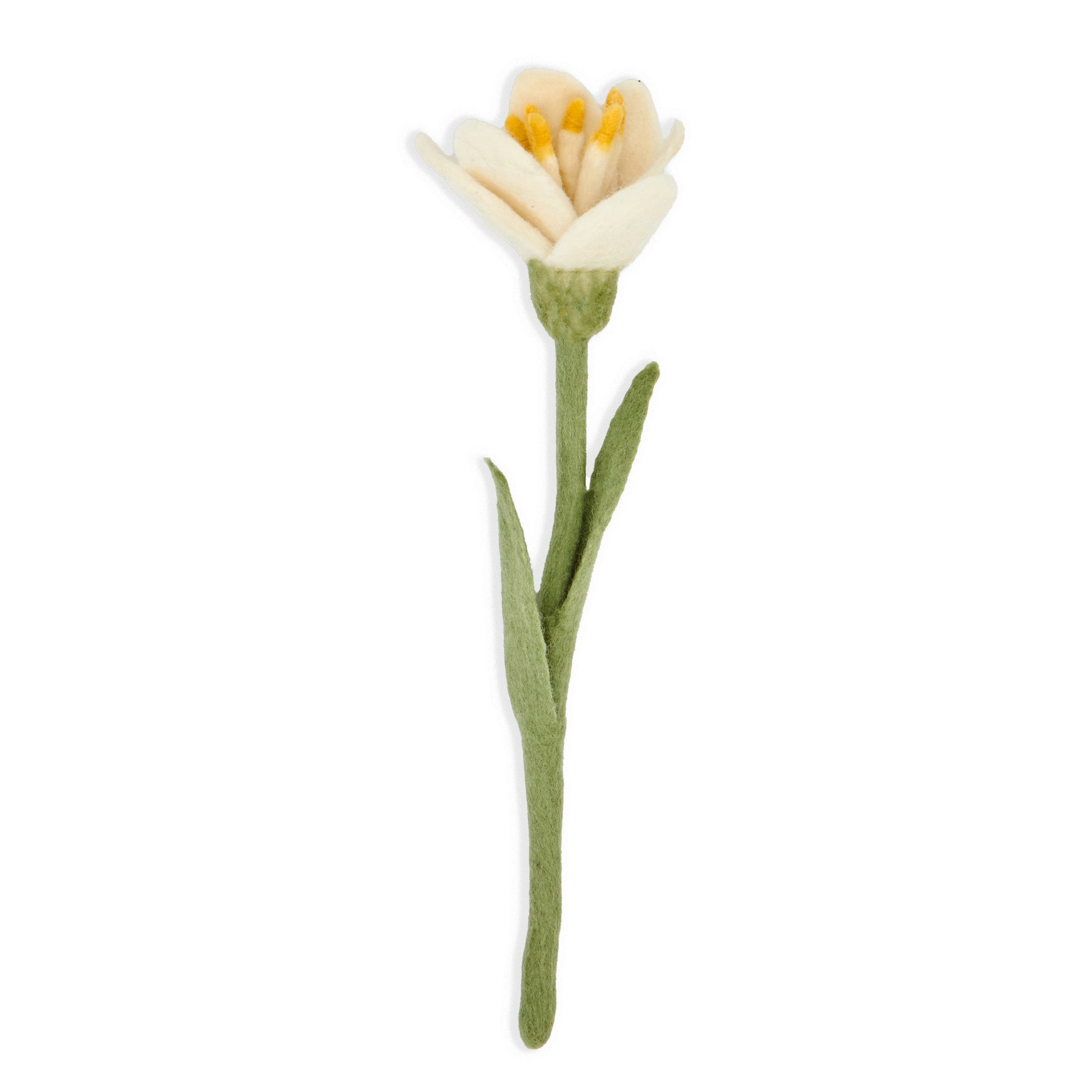 White felt crocus flower.
