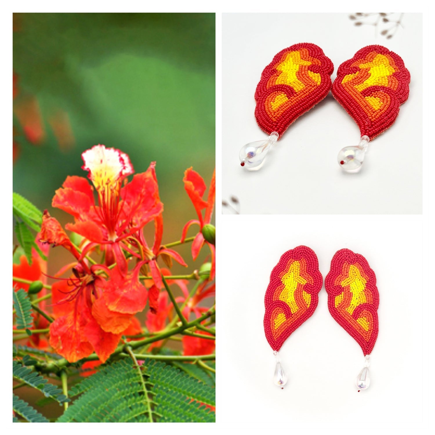 Photo of red flowers on left side of image with two images of Pair of red, orange, yellow glass beaded earrings with clear drop bead on right side of image.