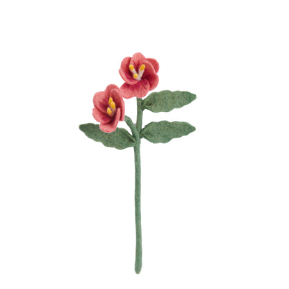 Pink felt primrose flower.