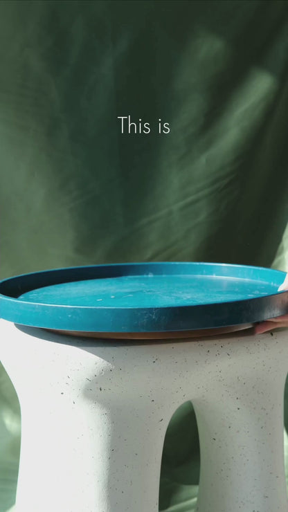 12" Smart Susan | Cork Montado